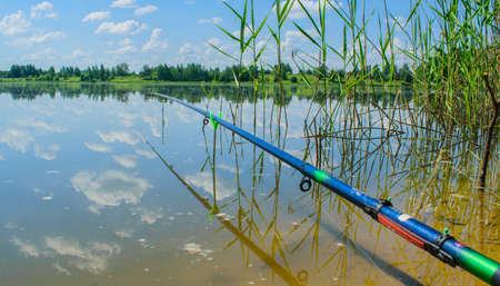 Forest lake on a Sunny summer day