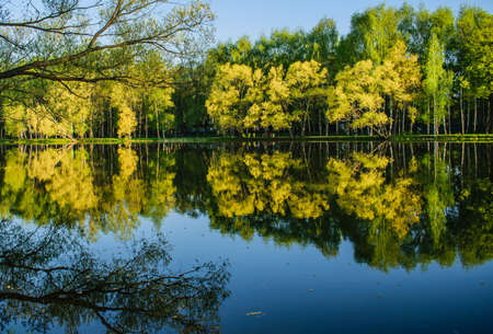 City Park in the early morningの写真素材