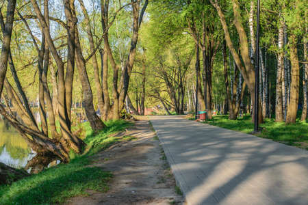 City Park in the early morningの写真素材