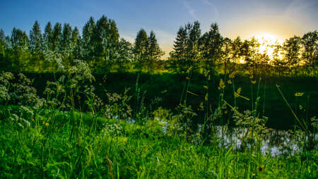 Sunset on the riverの写真素材