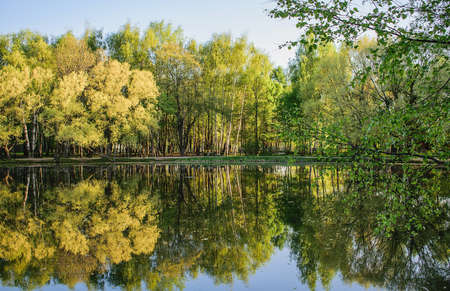 Early spring morning in the city Parkの写真素材
