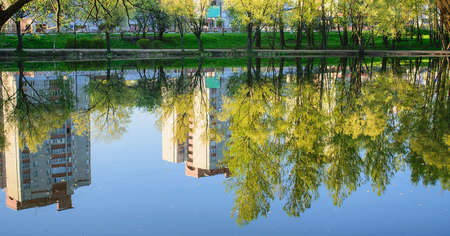 Early spring morning in the city Parkの写真素材