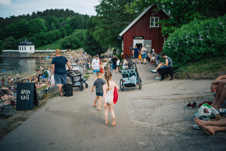 Lively Summer Day at Scenic Lakeside with Families Enjoying the Outdoors and Children Playing on a...
