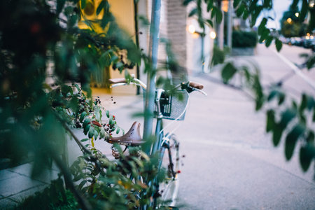 Serene Urban Sidewalk with Vintage Bicycle Hidden Behind Lush Green Foliage at Dusk in Cityscapeの写真素材