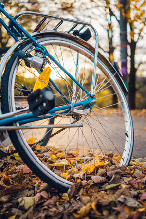Close-Up View of Bicycle Wheel on Leaf-Covered Pathway during Autumn Sunset in a Scenic Park Setting