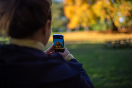Capturing the Essence of Autumn with Smartphone Photography in a Sunlit Park Setting