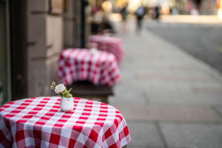 Charming outdoor cafe setting with red checkered tablecloths and delicate flower vase on sunny streetの写真素材