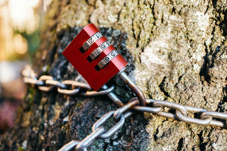 Security and Nature Vibrant Red Combination Lock with Chain Securing a Tree Trunk Symbolizes Protection and Natural Connectionの写真素材