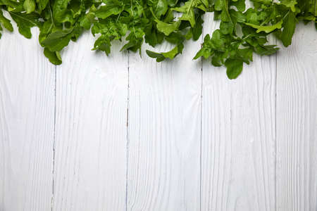 Fresh farm arugula on a white wooden tableの写真素材