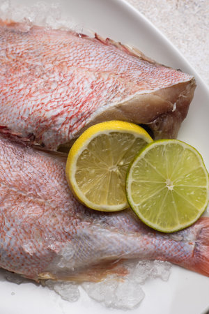 Fresh raw red snapper fish with lemon and ice on white plate