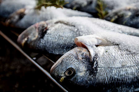 Making gourmet food. Fish and veggie ingredients, fish, grill, avocado.の写真素材