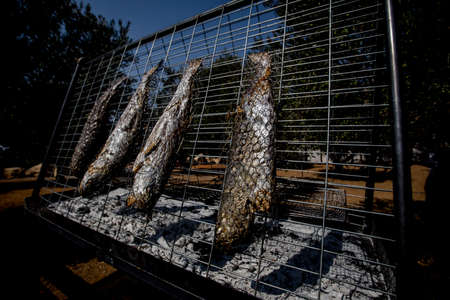Making gourmet food. Fish and veggie ingredients, fish, grill, avocado.の写真素材