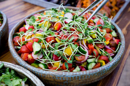 Variety of gourmet vegan food prepared and served. Only healthy Ingredients.の写真素材