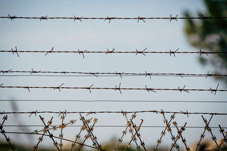 Razor wire fence in daylight view. International boarder between two countries.の写真素材