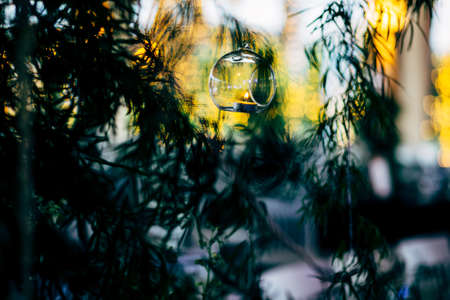 Luxury table settings for fine dining with and glassware, beautiful blurred  background. For events,...