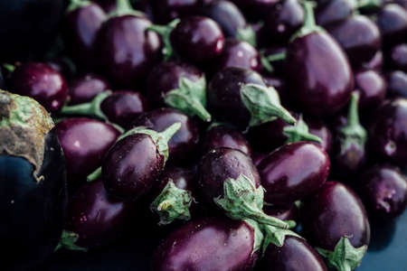 Fresh Gourmet FOOD Preparation. Luxury Kitchen dishes. Fine ingredients  and design.の写真素材