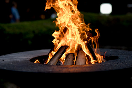 File and flame blue and orange fire in night scene. you can see the fire burning in outside enviorment. 2024 new content. passion related.の写真素材