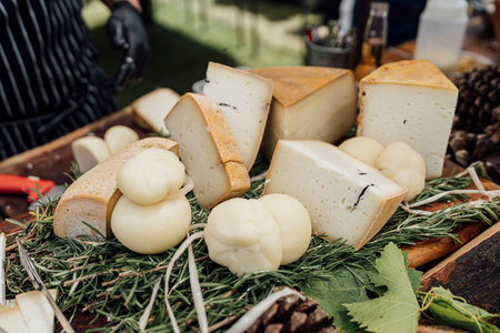 A beautifully arranged selection of artisanal cheeses displayed on a bed of fresh rosemary and green leaves. The variety includes hard and soft cheeses, some with a natural rind and others with subtle truffle infusions. The setting evokes a rustic, farm-to-table ambiance, perfect for gourmet food lovers, cheese enthusiasts, and culinary presentations. Ideal for themes related to traditional dairy products, farm markets, and organic cuisine.の写真素材