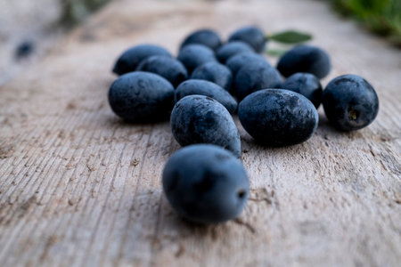 Freshly harvested black olives scattered on a rustic wooden background, with an olive branch adding a natural touch. A perfect representation of Mediterranean agriculture and organic farming.の写真素材