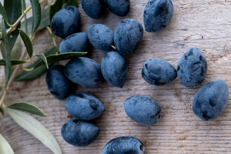 Freshly harvested black olives scattered on a rustic wooden background, with an olive branch adding a natural touch. A perfect representation of Mediterranean agriculture and organic farming.の写真素材