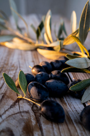 Freshly harvested black olives scattered on a rustic wooden background, with an olive branch adding a natural touch. A perfect representation of Mediterranean agriculture and organic farming.の写真素材