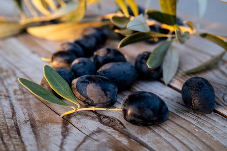 Freshly harvested black olives scattered on a rustic wooden background, with an olive branch adding a natural touch. A perfect representation of Mediterranean agriculture and organic farming.の写真素材