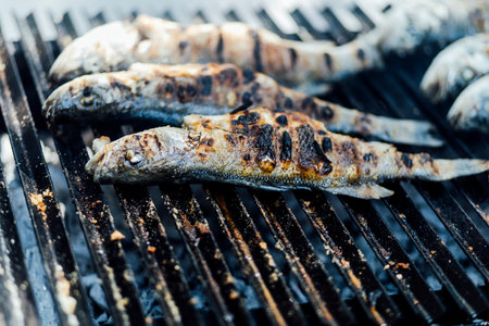 Elegant food photography from weddings and events â€“ grilled meats, fish, vegetables, and...