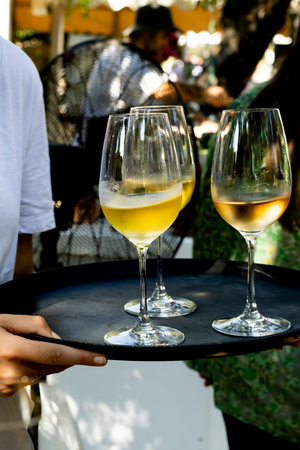 Elegant orange-pink cocktails served in martini glasses, garnished with dried citrus slices and...