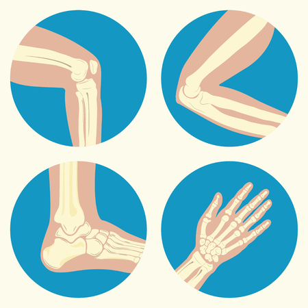 Set of human joints, knee joint, elbow joint, ankle joint, wrist, emblem or sign of medical diagnostic center or clinic, flat design, vectorのイラスト素材