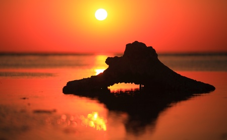 beautiful Red sea sunrise during  low tide time の写真素材