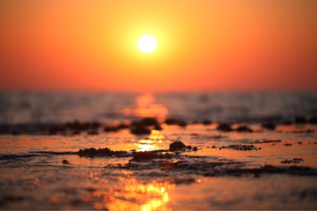 Golden path to sun, it has a life long just a few seconds befor sun coming up. But this life like a miracle song の写真素材