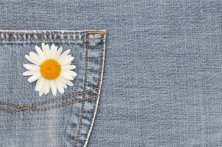 Chamomileの写真素材