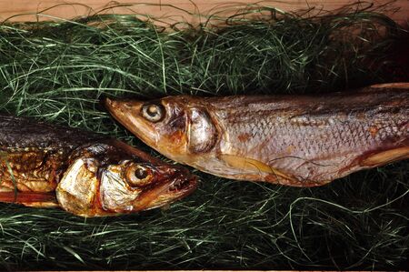 funny fish are dried in a box