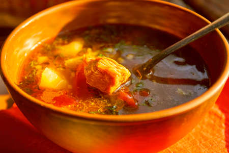 Hungarian goulash in Transcarpathian style, served in a restaurant in earthenware.の写真素材