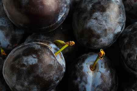 Ripe plums close-up. focus stacking.の写真素材