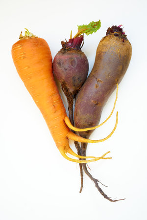 Carrots and beets close-up on a white background.の写真素材