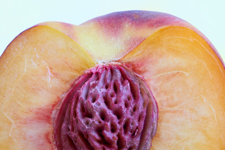 Sliced ripe peach close-up. Close up on a white background.