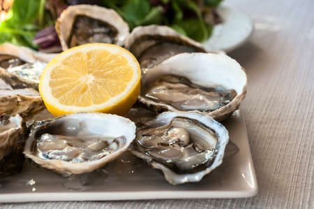 fresh French appetizer oysters on ice with lemon, for gourmetsの写真素材
