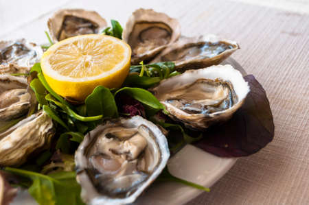 fresh French appetizer oysters on ice with lemon, for gourmetsの写真素材