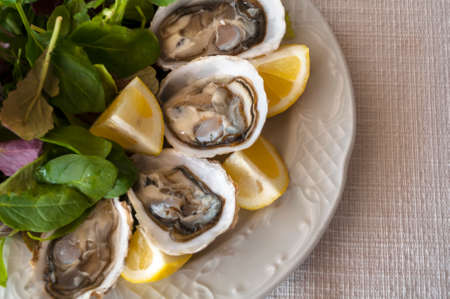fresh French appetizer oysters on ice with lemon, for gourmetsの写真素材