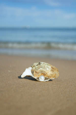 on the seashore yellow sand lies a shell with a pearl on the background of the sea and wavesの写真素材