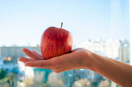 red apple in a female hand on the palm on the background of blue skyの写真素材