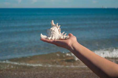 girl holding a sea shell on the background of the blue seaの写真素材