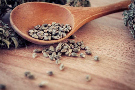 hemp seeds and hemp dry cones on a wooden tableの写真素材