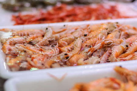 on the market in the white tray fresh shrimpの写真素材
