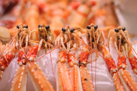 fresh cigala on marketの写真素材