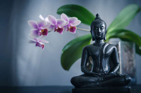 Buddha and Orchidの写真素材