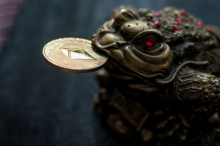 chinese toad with Etherium coinの写真素材