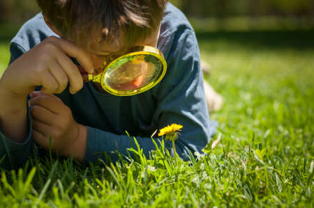 boy the Explorer of nature with magnifying glass