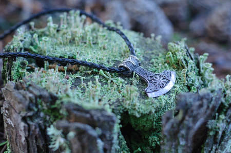 hammer on a moss covered stump